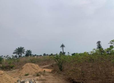600sqm Fully-serviced Land in a Fast-developing Environment, Ikot Ekpene Road, Uyo, Akwa Ibom, Mixed-use Land for Sale