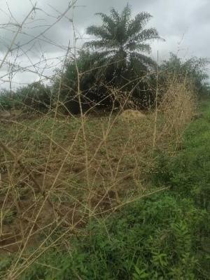800sqm Land, Atan Offot, Abak Road, Uyo, Akwa Ibom, Mixed-use Land for Sale