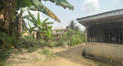 700sqm Investor-grade Property with Existing Structure, Atiku Abubakar Way, Uyo, Akwa Ibom, Mixed-use Land for Sale