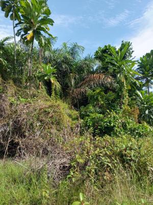 Affordable Full Plot Dry Land, Lewu- Odo Community, Awoyaya, Ibeju Lekki, Lagos, Residential Land for Sale