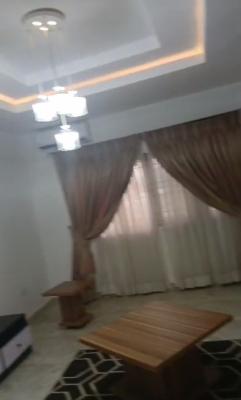 Serviced Spacious Standard Decent Three Bedroom Apartment, Life Camp, Abuja, Flat / Apartment for Rent