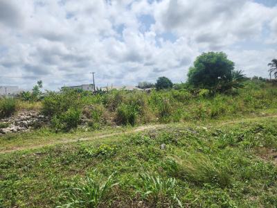Developer Delight, Monastery Road, Sangotedo, Ajah, Lagos, Mixed-use Land for Sale