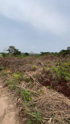 Sharp Plot, Ijebu Ode, Ogun, Mixed-use Land for Sale