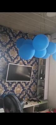 Mini Flat, Powerline, Badore, Ajah, Lagos, Mini Flat (room and Parlour) for Rent