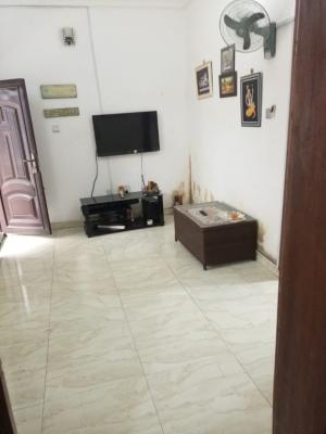 Furnished One Bedroom Flat in a Very Secured Area, Ikeja Gra, Ikeja, Lagos, Mini Flat (room and Parlour) for Rent
