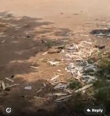 4acres of Land, Badagry, Lagos, Commercial Land for Rent
