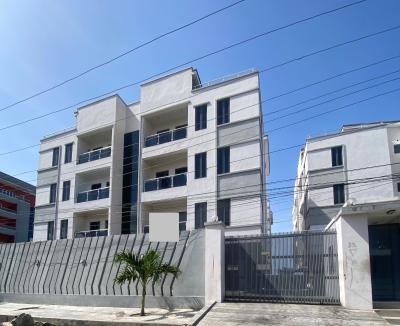 Well Fitted 2 Bed Apartment, Ikate, Ikate, Lekki, Lagos, Flat / Apartment for Rent