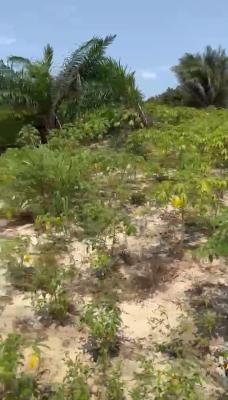 Distress Land for Fast Disposal (owner Needs Money Fast), Elerangbe / Itomu Road, Ibeju-lekki, Eleranigbe, Ibeju Lekki, Lagos, Mixed-use Land for Sale