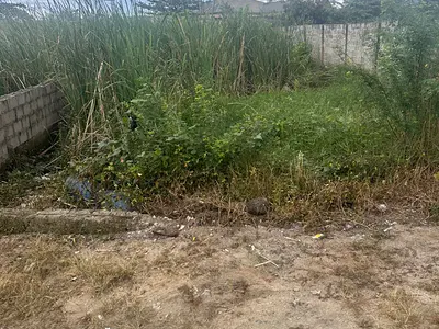 Strategic 565 SQM Plot with Consent — Opposite Health Centre, Badore, Ajah, Lagos