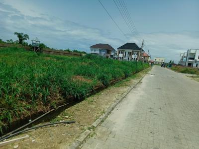 916sqm Bareland, Royal Garden Estate, Ajah, Lagos, Residential Land for Sale