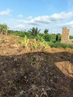 Fenced 2 Acres of Land Very Close to The Main Road, Omi Adio, Apata, Ibadan, Oyo, Mixed-use Land for Sale
