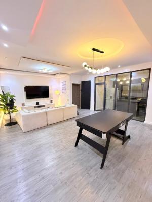 Furnished 2 Bedrooms Apartment, Ikate, Lekki, Lagos, Flat / Apartment for Rent