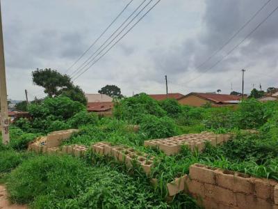 Virgin Distress Plot of Land, Tipper Road Side, Garriki Awkunanaw, Enugu, Enugu, Mixed-use Land for Sale