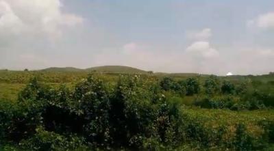120 Hectares of Land, Paiko Village, Gwagwalada, Abuja, Mixed-use Land for Sale