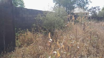 Hot Property! -- Very Affordable Land, Ugwogo Nike, Enugu, Enugu, Residential Land for Sale