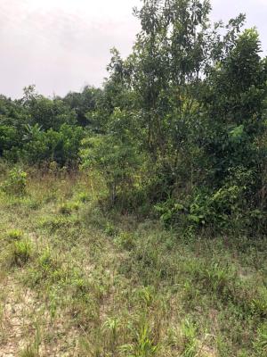 Estate Property, Olomowewe Origanrigan Osoroko, Ibeju Lekki, Lagos, Commercial Property for Sale
