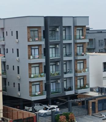 Serviced with 24/7 Power Supply 2 Bedroom En-suite Flat with an Open F, Ikate Elegushi, Lekki, Lagos, Flat / Apartment for Rent