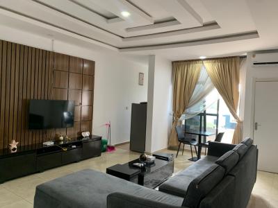 Luxury 2 Bedroom Fully Furnished, 24hrs Electricity Backup Inverter & Gym, Chevron Toll Gate, Lekki, Lagos, Flat / Apartment for Rent