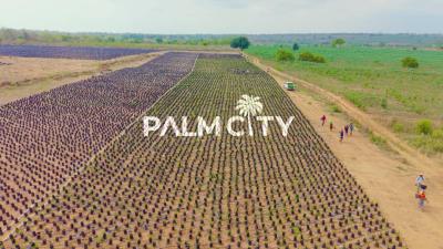 Palm City, Oyo State, Ogbomosho North, Oyo, Commercial Property for Sale