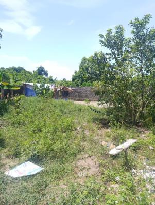 400sqm Back Plot, Ajayi Apata, Sangotedo, Ajah, Lagos, Residential Land for Sale