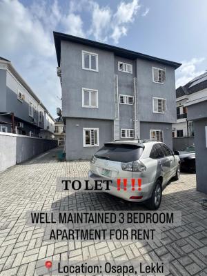 Well Maintained 3 Bedroom Apartment, Osapa, Osapa, Lekki, Lagos, Flat / Apartment for Rent