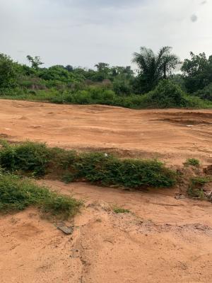 Mega Land Offer - 250 Plots, Ubaha Owo, Nkanu East, Enugu, Enugu, Mixed-use Land for Sale