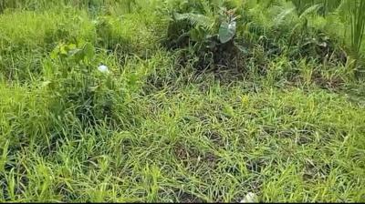 1plot of Land, New Road, Awoyaya, Ibeju Lekki, Lagos, Mixed-use Land for Sale