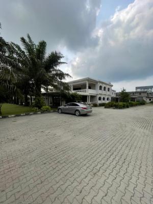 Royal Large Castle Mansion of 9000sqm Land Size, Ikate, Lekki, Lagos, Detached Duplex for Sale