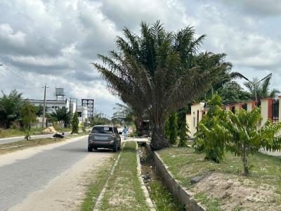 Premium Mixed  Plot with C of O, Ajayi Apata Estate, Sangotedo, Ajah, Lagos, Mixed-use Land for Sale