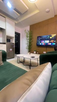 Fully Serviced and Furnished  2 No 3 Bedroom, 2 No 2 Bedroom Flat and a Mini Flat., Ajao Estate Off Airport Road, Isolo, Lagos, Flat / Apartment for Rent
