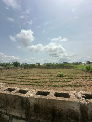 Fenced 2 Plots of Land Is Available, Alagbaka Extension, Alagbaka, Akure, Akure, Ondo, Mixed-use Land for Sale