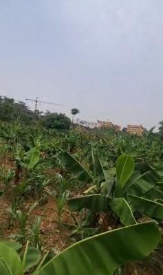 Size: 2854sqm Land, Central Business District, Abuja, Land for Sale