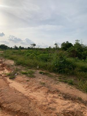 Very Affordable Land to Own, Agbogazi Nike, Enugu, Enugu, Residential Land for Sale