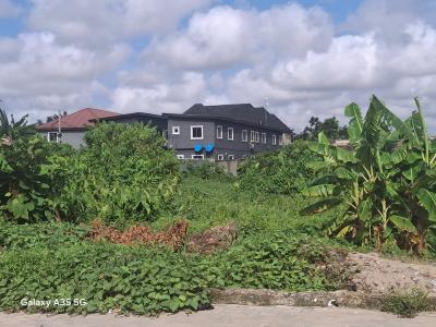 Corner Piece Land, Goodnews, Ajah, Lagos, Mixed-use Land for Sale