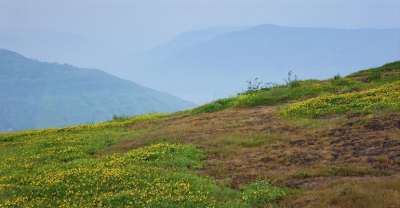 Unlock The Luxury - Hilltop Plots, Amamkpaka Nike, Enugu, Enugu, Residential Land for Sale