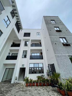 Nicely Furnished 2 Bedroom Apartment Available, Lekki Phase 1, Lekki, Lagos, Flat / Apartment for Rent