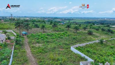 Govt Approved Buy and Build Estate Strategically Locate, Abundance Acres Estate  Demure Town, Imota, Ikorodu, Lagos, Mixed-use Land for Sale