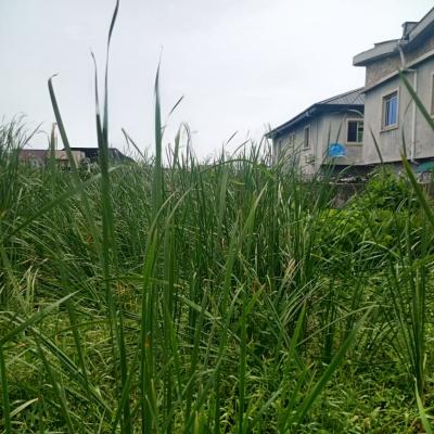 a Prime Land, H.v Estate, Sangotedo, Ajah, Lagos, Residential Land for Sale
