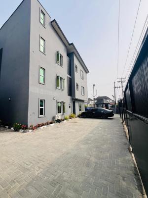 Unfurnished 2 Bedroom Apartment, Ologolo, Lekki, Lagos, Flat / Apartment for Rent