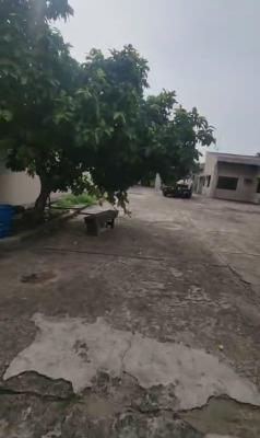 Detached Structure on a Massive 1,979.45 Sqm Land, Off Liverpool Road, Gra, Apapa, Lagos, Land Joint Venture