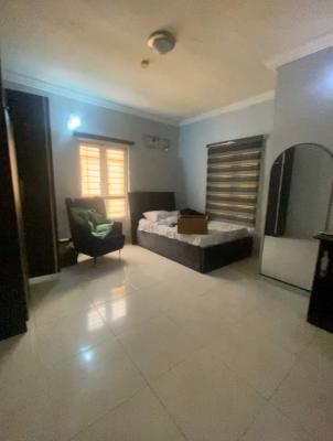 Hot Luxurious Self Contain, Agungi, Lekki, Lagos, Flat / Apartment for Rent