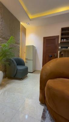 Luxury & Beautifully Furnished 1bedroom, Lekki, Lekki Phase 1, Lekki, Lagos, Flat / Apartment Short Let