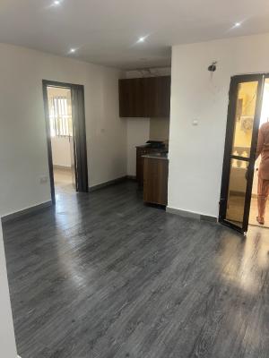 1bedroom, Lekki Phase 1, Lekki Phase 1, Lekki, Lagos, Mini Flat (room and Parlour) for Rent