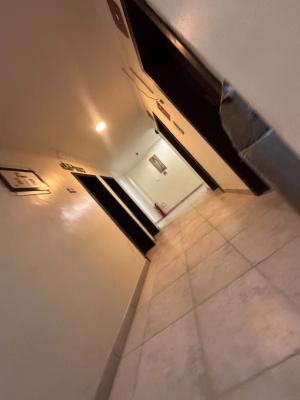 Renovated and Spacious Mini Flat, Victoria Island (vi), Lagos, Mini Flat (room and Parlour) for Rent