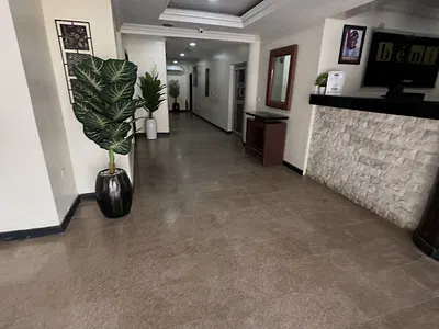 Renovated and Spacious Mini Flat — Victoria Island (VI), Lagos