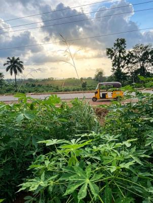 Residential Land, Ogbeke Nike, Enugu, Enugu, Residential Land for Sale