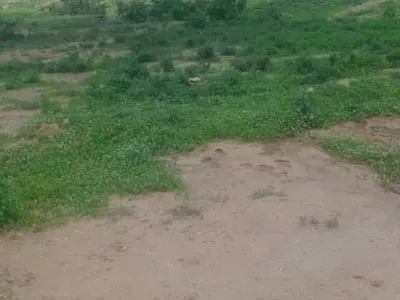 500SQM Residential Land Plot — Aristocrat Court, Along Kabusa Sheretti Road, Pyakasa, Lugbe District, Abuja