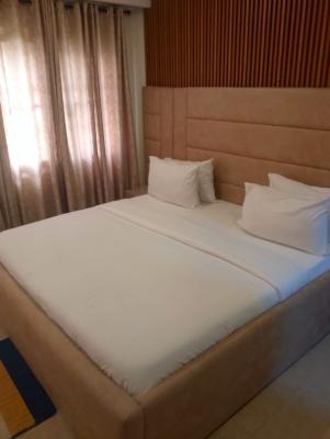 1 Bedroom Apartment, Victoria Island (vi), Lagos, Mini Flat (room and Parlour) Short Let