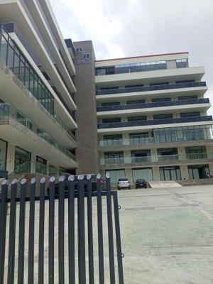 Lettable Office/shop Spaces, Wuse 2, Abuja, Commercial Property for Rent
