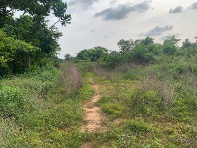 100 Plots of Land, Ugwomu, Nike, Enugu, Enugu, Mixed-use Land for Sale